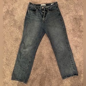 Aritzia Denim Forum The Joni High Rise Loose Jean 29L